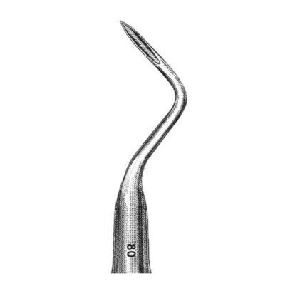 Root Tip